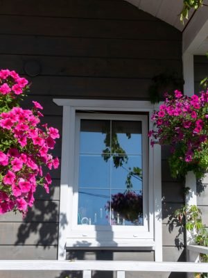 A,Gorgeous,Calibrachoa,Bushs,In,A,Hanging,Baskets.,Pots,Of